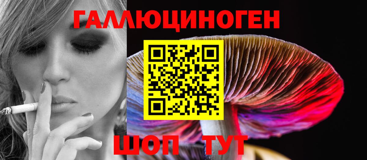 Котовск  Псилоцибиновые грибы Cubensis  Вход с VPN  Псилоцибиновые грибы Cubensis 
